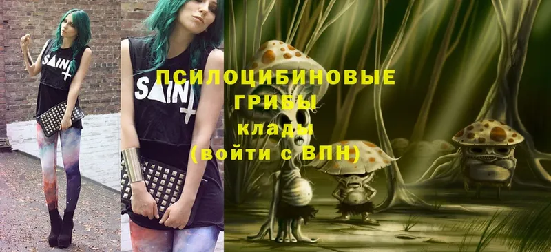 Галлюциногенные грибы MAGIC MUSHROOMS  купить наркоту  Багратионовск 